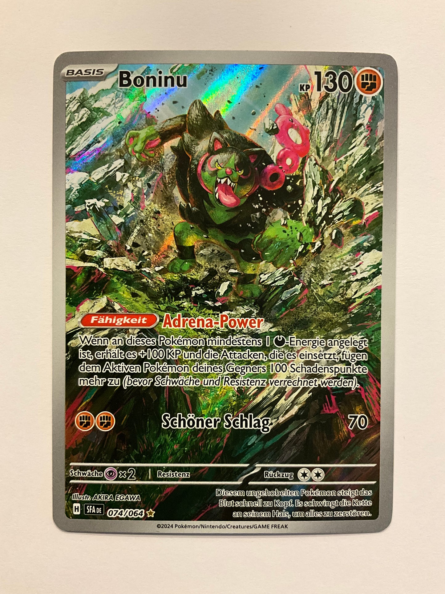 Boninu AR Nebel D. Sagen 074/064 NM DE