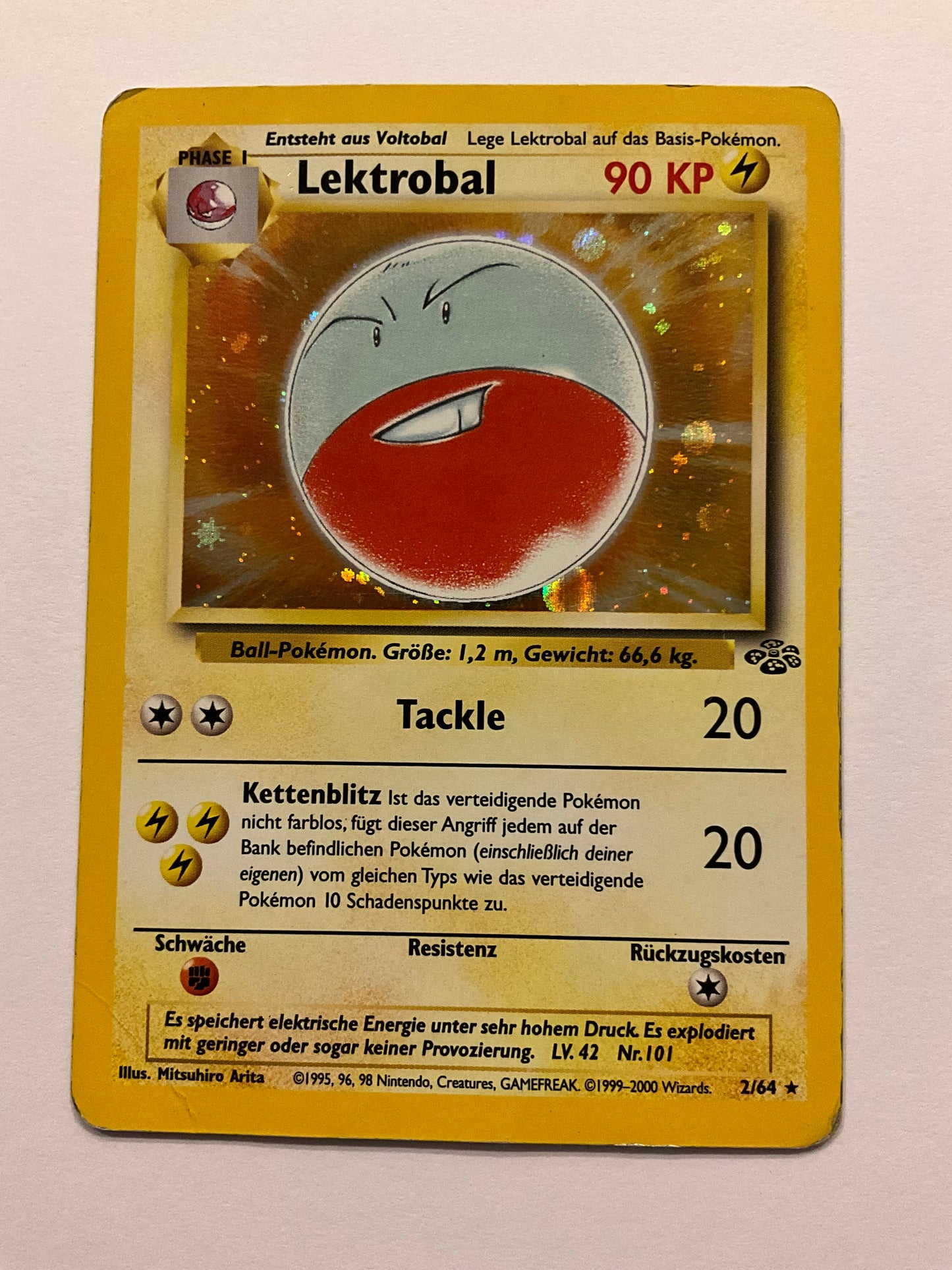 Lektroball Holo Dschungel 2/64 PL DE